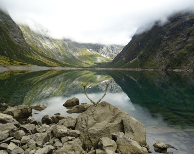 Dịch Vụ Gửi Hàng Đi New Zealand Giá Rẻ